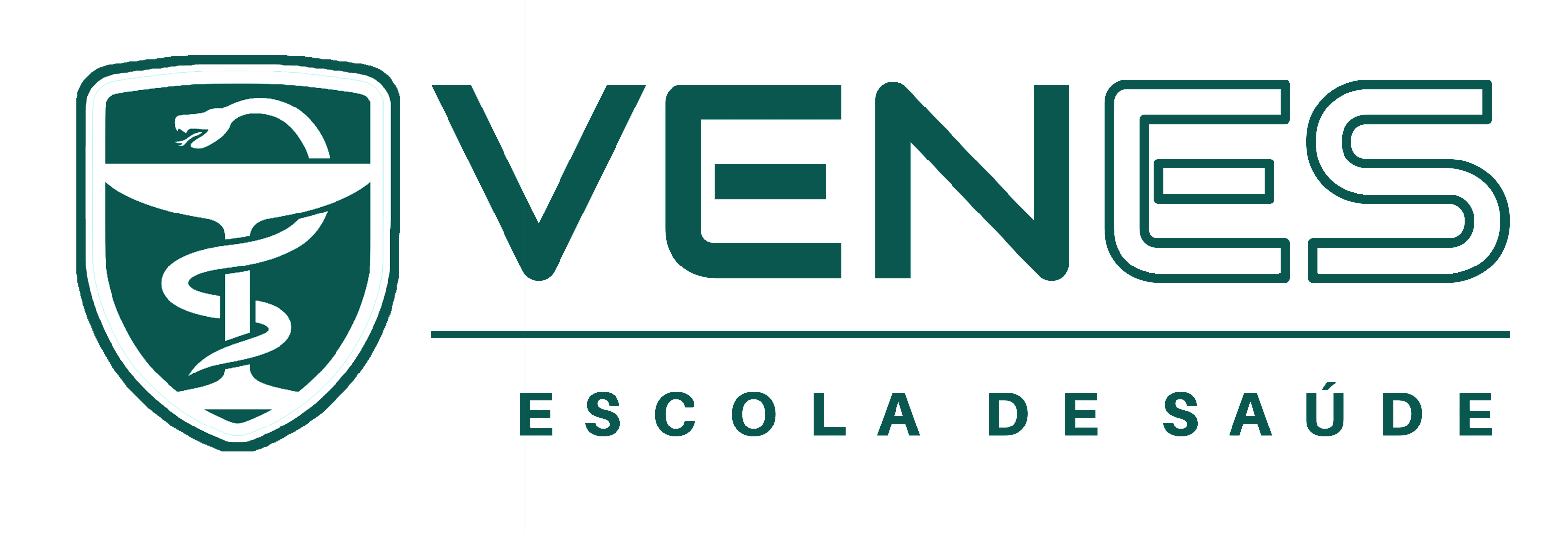Logo Venes